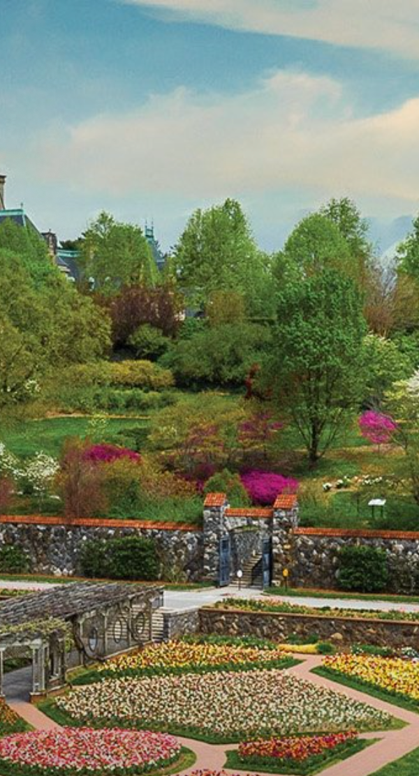 The Biltmore 2021 photo 3
