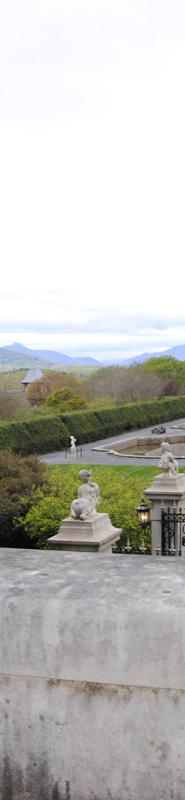 The Biltmore 2021 photo 27