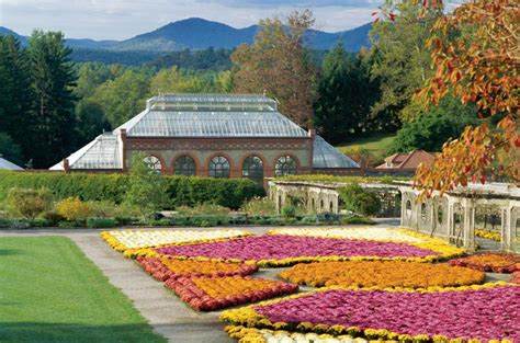 The Biltmore 2021 photo 47