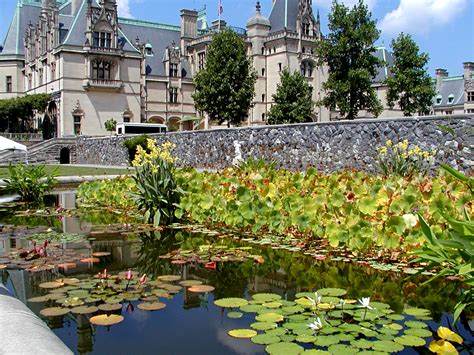 The Biltmore 2021 photo 48